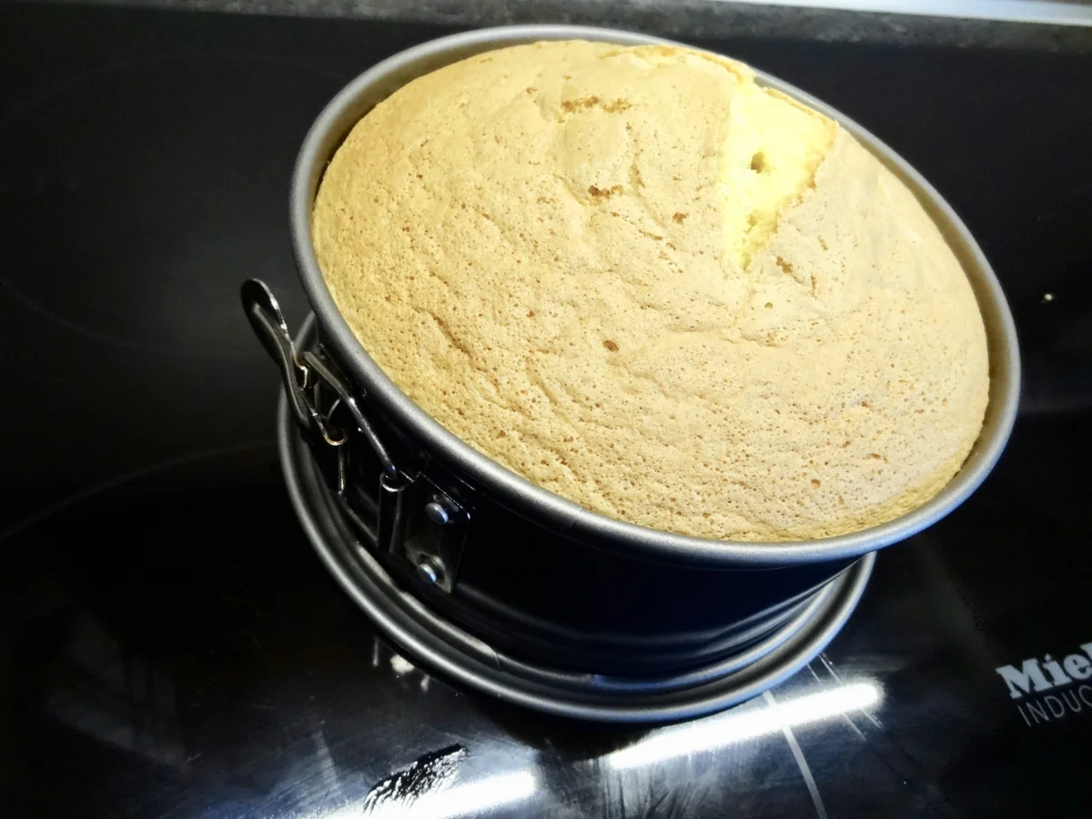 Gefüllte Biskuit Früchte Torte - mit feiner Schokolade Buttercreme - Rezept - Bild Nr. 14189