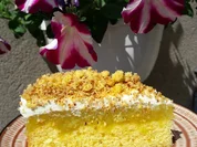 Rhabarber - Torte - Rezept - Bild Nr. 14181