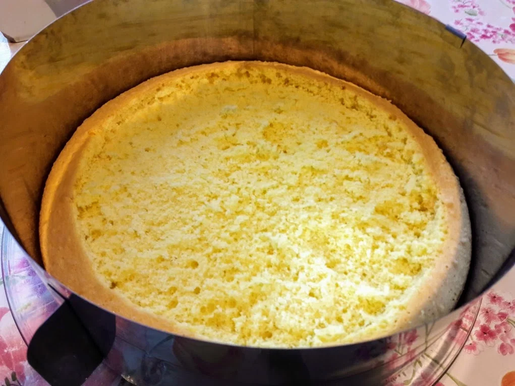 Rezept: Rhabarber - Torte Bild Nr. 14191 Rhabarber - Torte - Rezept - Bild Nr. 14191