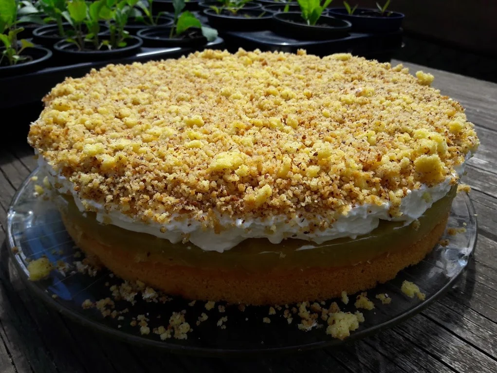 Rezept: Rhabarber - Torte Bild Nr. 14200 Rhabarber - Torte - Rezept - Bild Nr. 14200