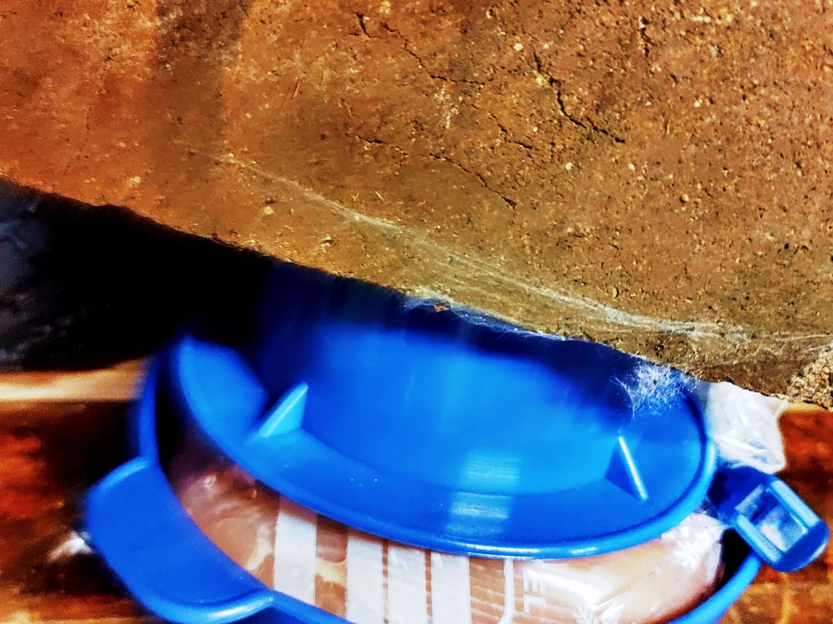 Putenkochschinken - Rezept - Bild Nr. 14182