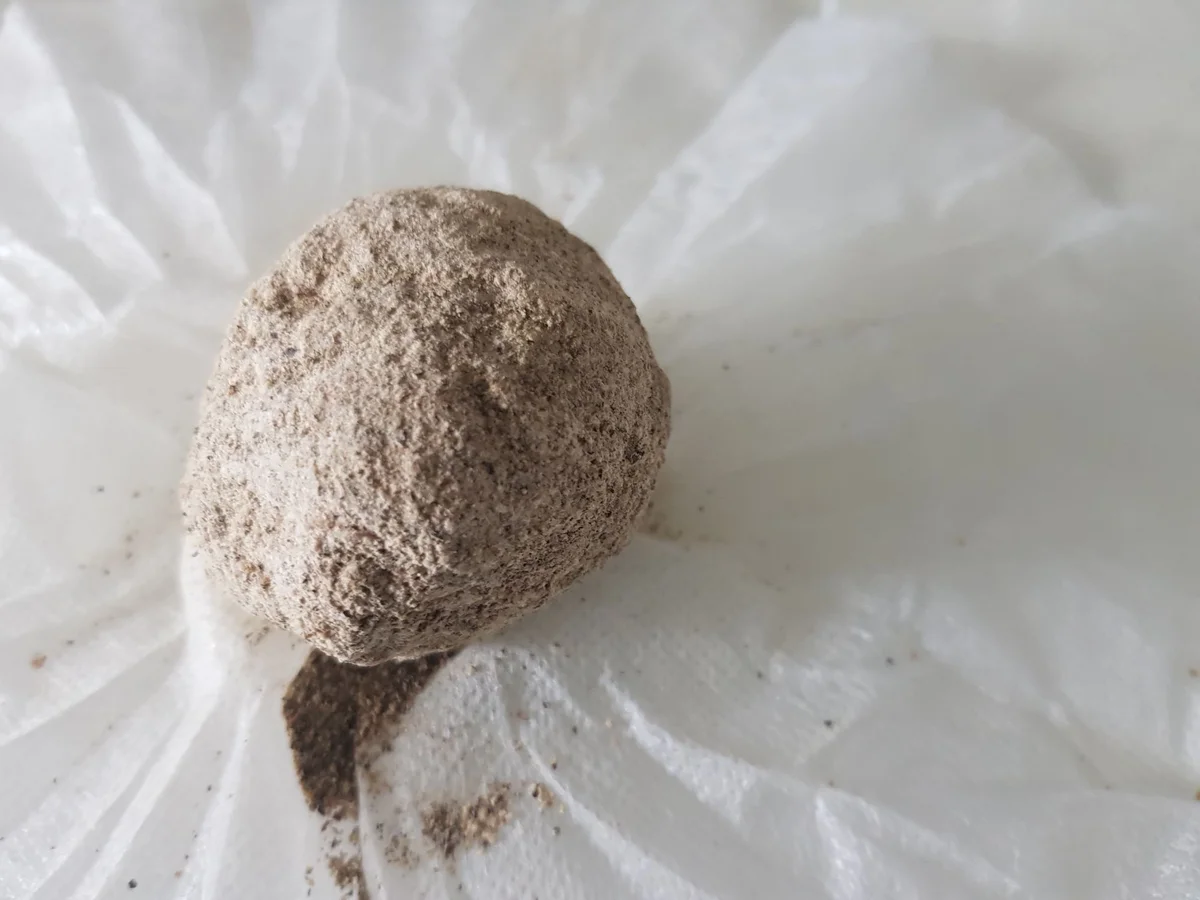 Rezept: Hack-Gemüse-Kartoffel-G'röst'l aus dem Ofen Bild Nr. 14186 Hack-Gemüse-Kartoffel-G'röst'l aus dem Ofen - Rezept - Bild Nr. 14186