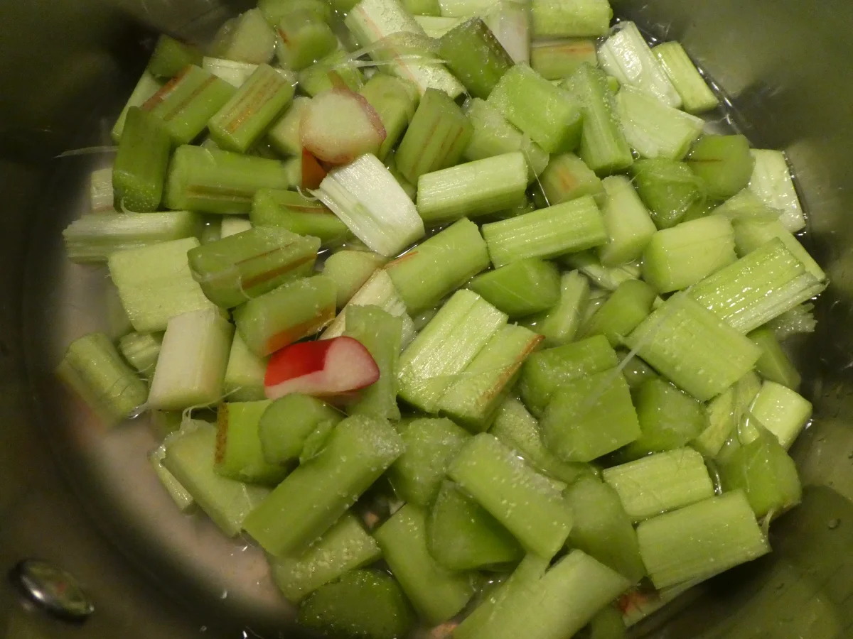 Rhabarber-Schicht-Dessert im Glas - Rezept - Bild Nr. 14182