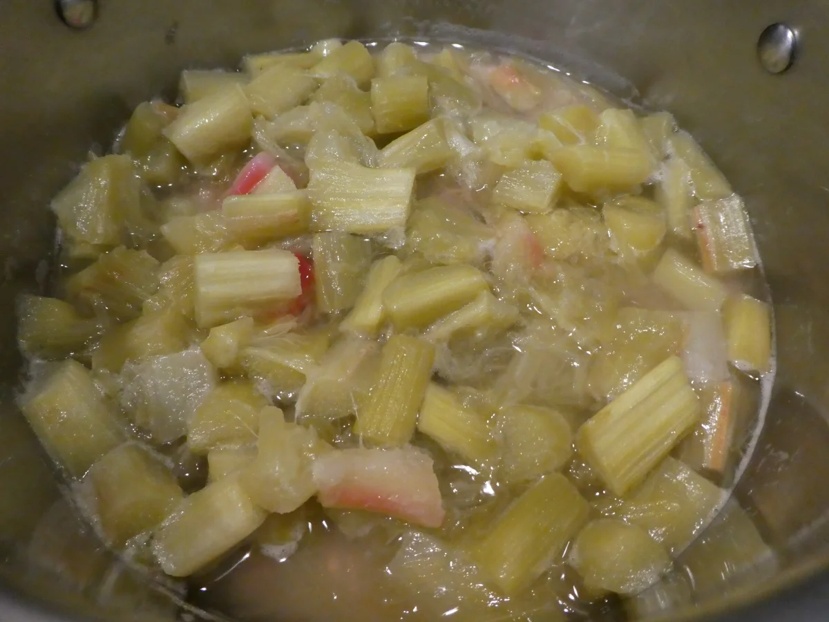 Rhabarber-Schicht-Dessert im Glas - Rezept - Bild Nr. 14183