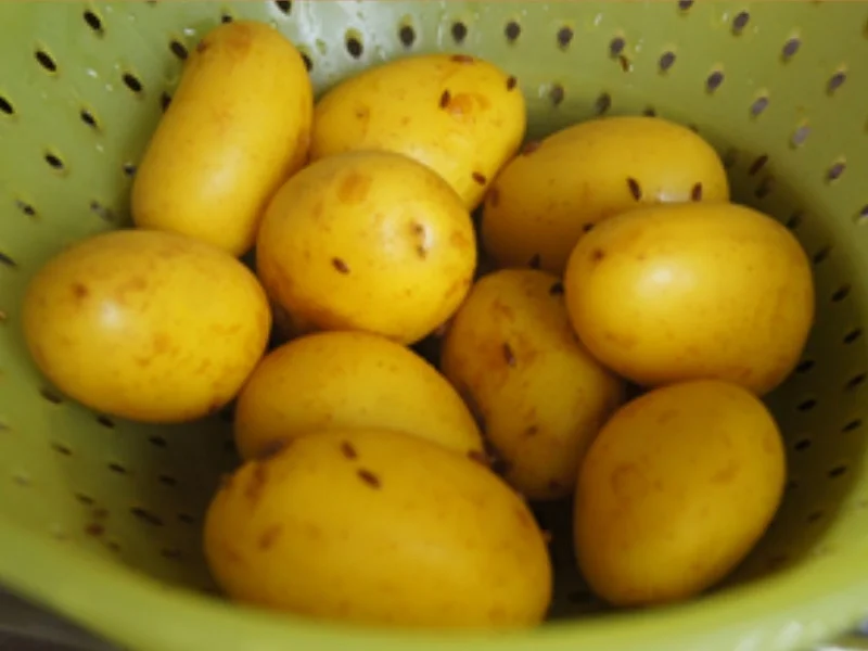 Rote-Bete-Matjessalat mit griechischen Joghurt und Pellkartoffel-Drillingen - Rezept - Bild Nr. 14