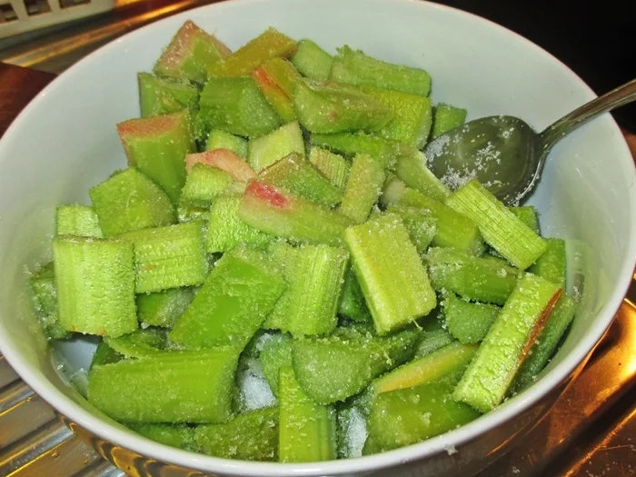 Saftiger Rhabarberkuchen - Rezept - Bild Nr. 14209