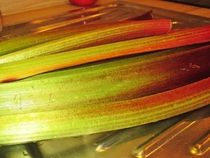 Saftiger Rhabarberkuchen - Rezept - Bild Nr. 14210