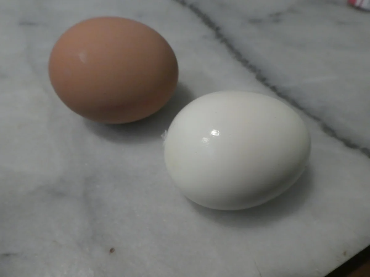 Spargel mit Lachs und Kräuter-Dip - Rezept - Bild Nr. 14207