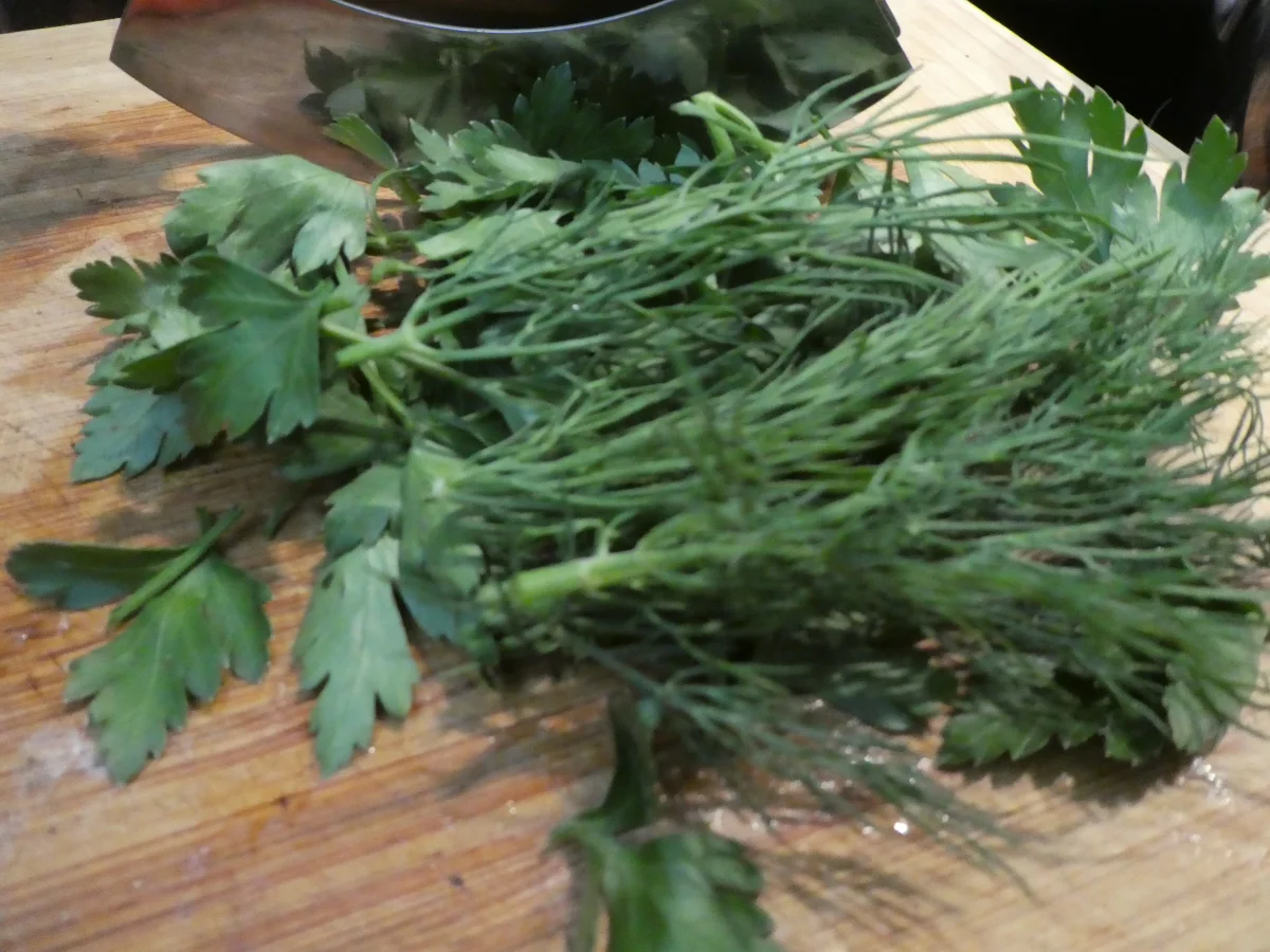 Spargel mit Lachs und Kräuter-Dip - Rezept - Bild Nr. 14209