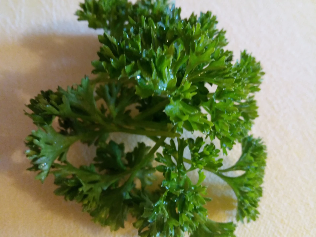 Rezept: Rouladen , weißer Spargel mit Beilagen zur kochbar Challenge Juni 2021 Bild Nr. 14237 Rouladen , weißer Spargel mit Beilagen zur kochbar Challenge Juni 2021 - Rezept - Bild Nr. 14237