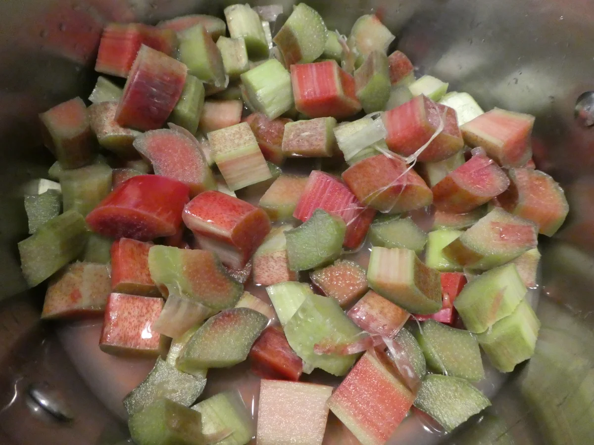 Rharbarber-Marmelade - Rezept - Bild Nr. 14213