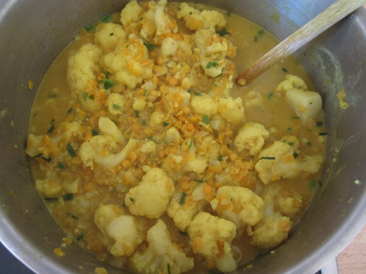 Blumenkohl-Linsen-Curry mit Naturreis - Rezept - Bild Nr. 14249