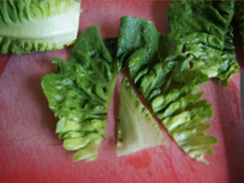 Grillteller mit Salatherzsalat - Rezept - Bild Nr. 14247