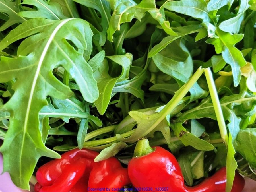 Schwarzer Sepia Reis mit Garnelen - kulinarische Weltreise - Rezept ... Schwarzer Sepia Reis mit Garnelen - kulinarische Weltreise - Rezept ...