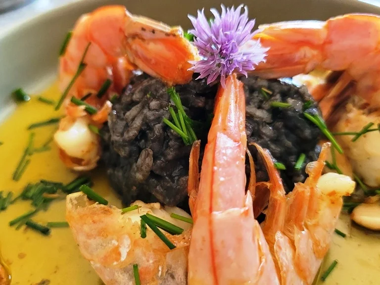 Schwarzer Sepia Reis mit Garnelen - kulinarische Weltreise - Rezept - Bild Nr. 14255