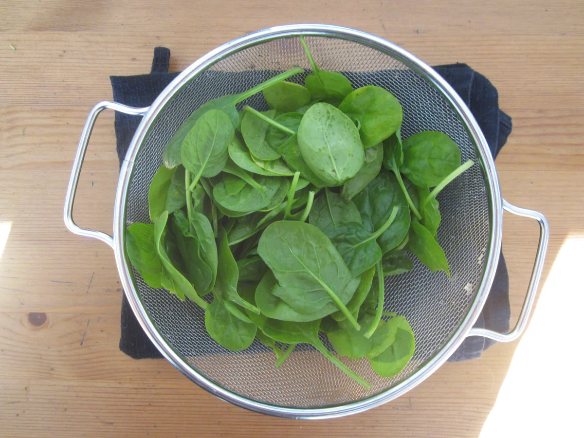 Nudelauflauf mit Hummus und Gemüse - Rezept - Bild Nr. 14248