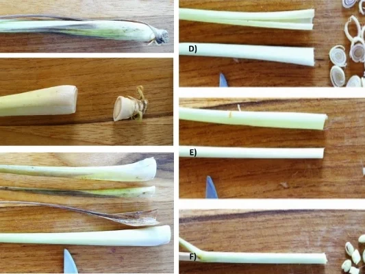 Rezept: Massaman-Currypaste - Krüang Gäng Massaman Bild Nr. 14245 Massaman-Currypaste - Krüang Gäng Massaman - Rezept - Bild Nr. 14245