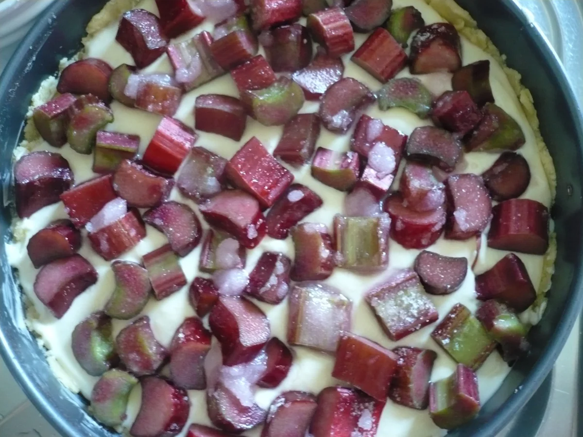Rhababer - Streuselkäsekuchen - Rezept - Bild Nr. 14248