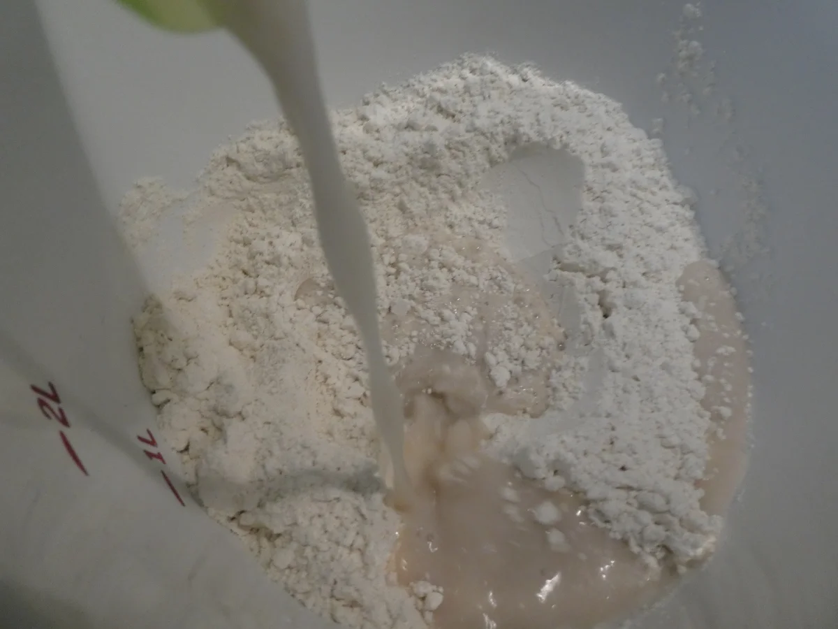 Dreierlei Käse-Pizza - Rezept - Bild Nr. 14244