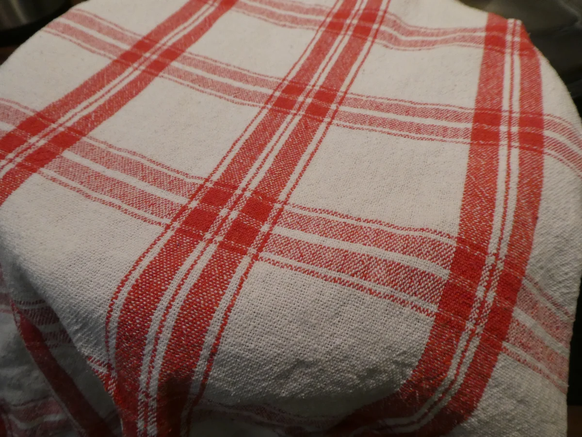 Dreierlei Käse-Pizza - Rezept - Bild Nr. 14247