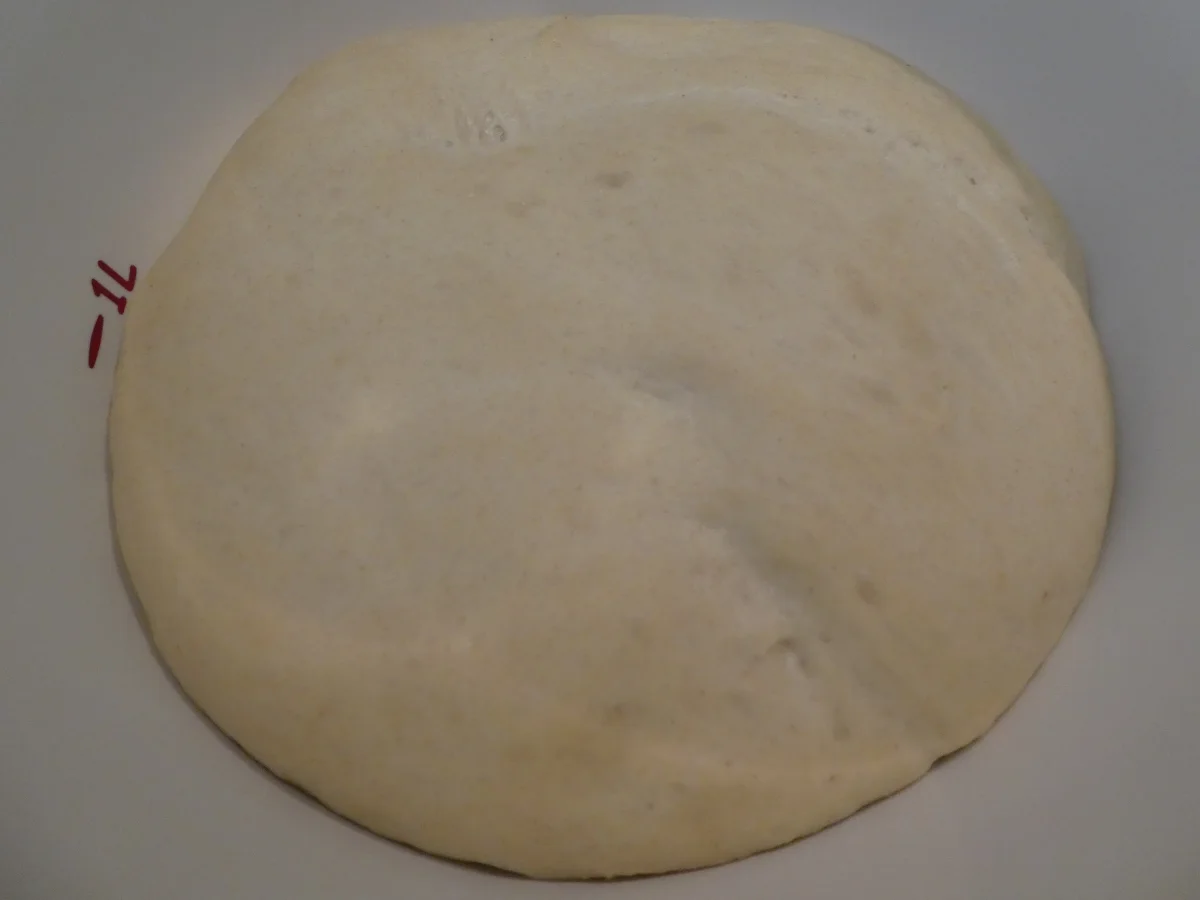 Dreierlei Käse-Pizza - Rezept - Bild Nr. 14248