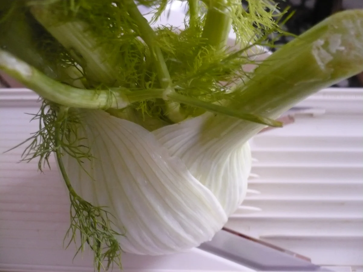 Fenchel - Radieschen - Salat mit geräucherter Forelle - Rezept - Bild Nr. 7