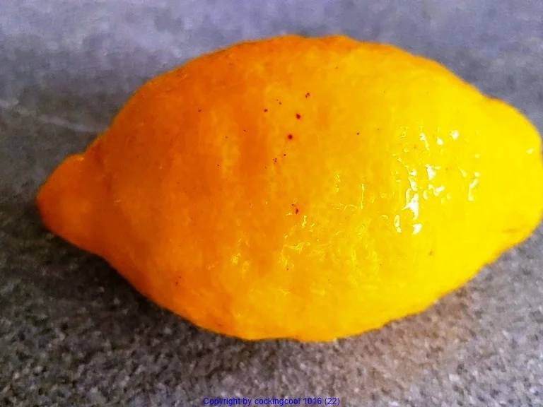 Rezept: Filetspiess mit Salat oder Pakchoigemüse und einer herzhafter Sosse Bild Nr. 16 Filetspiess mit Salat oder Pakchoigemüse und einer herzhafter Sosse - Rezept - Bild Nr. 16