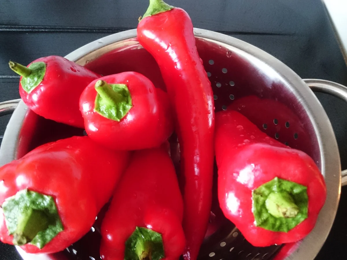 Rezept: Gefüllte Spitzpaprika mit Couscous Bild Nr. 3 Gefüllte Spitzpaprika mit Couscous - Rezept - Bild Nr. 3