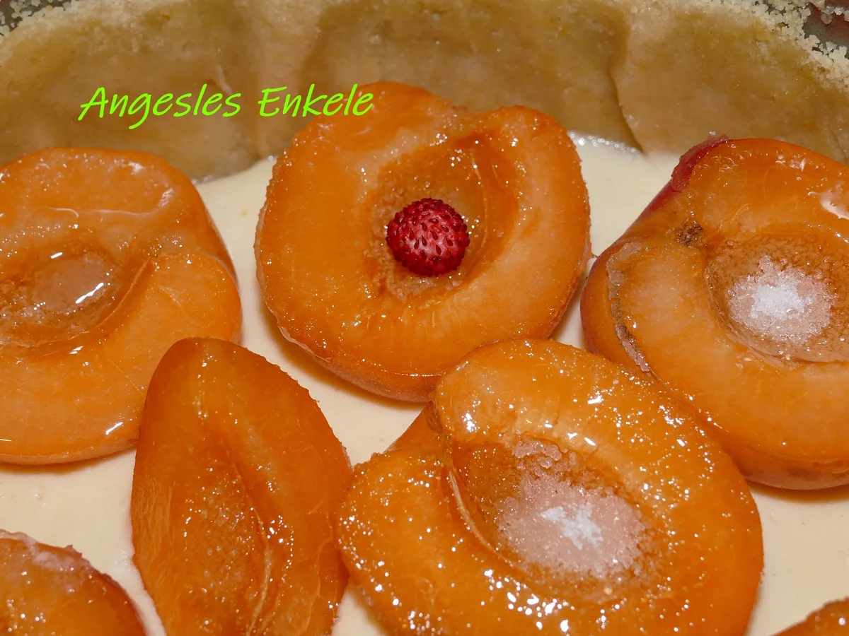 Käsekuchen mit Aprikosen - Rezept - Bild Nr. 15