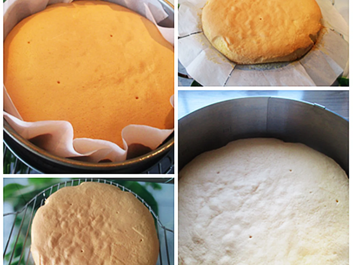 Rezept: Mandarinen-Schmand-Torte Bild Nr. 4 Mandarinen-Schmand-Torte - Rezept - Bild Nr. 4