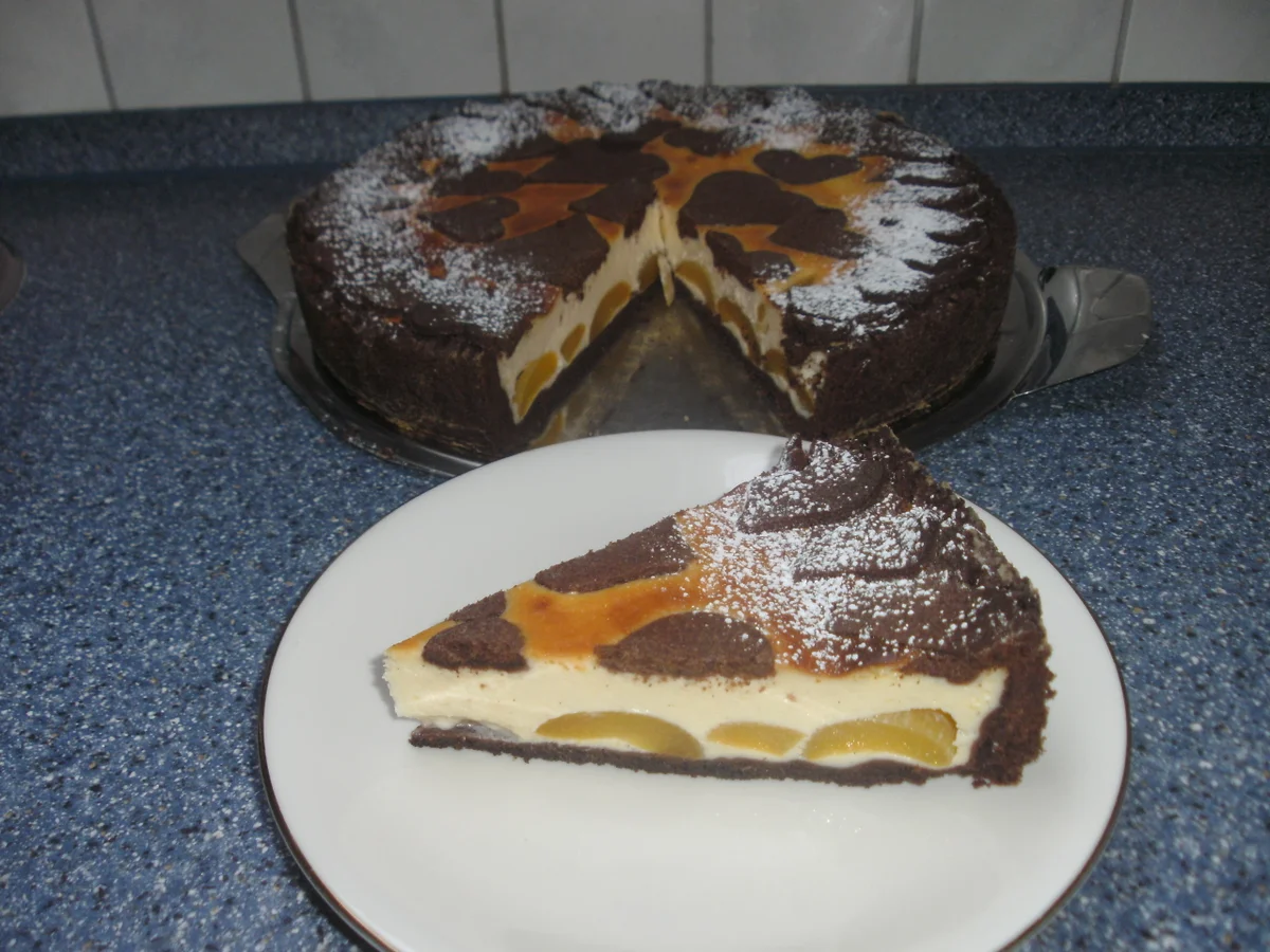 Aprikosen - Schoko - Kuchen - Rezept - Bild Nr. 14264