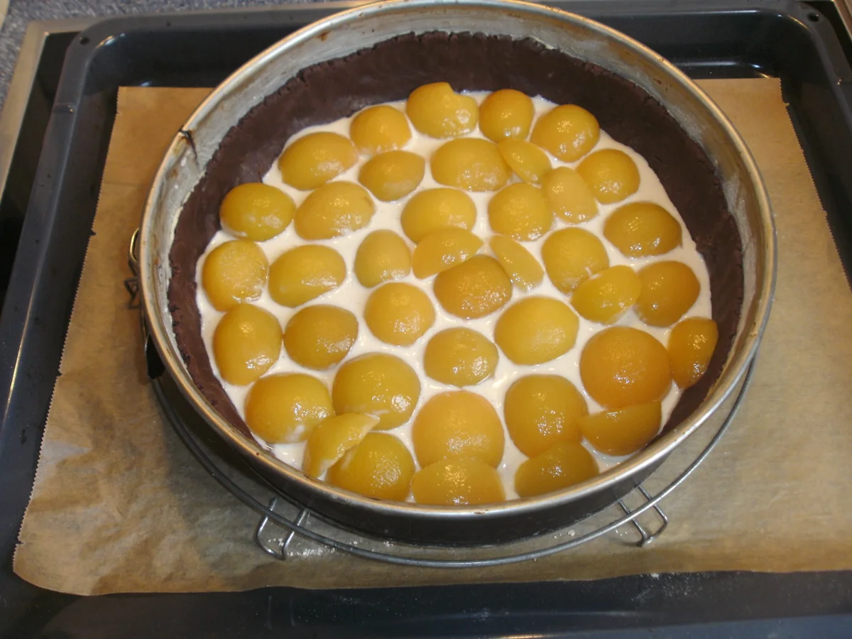 Aprikosen - Schoko - Kuchen - Rezept - Bild Nr. 14267