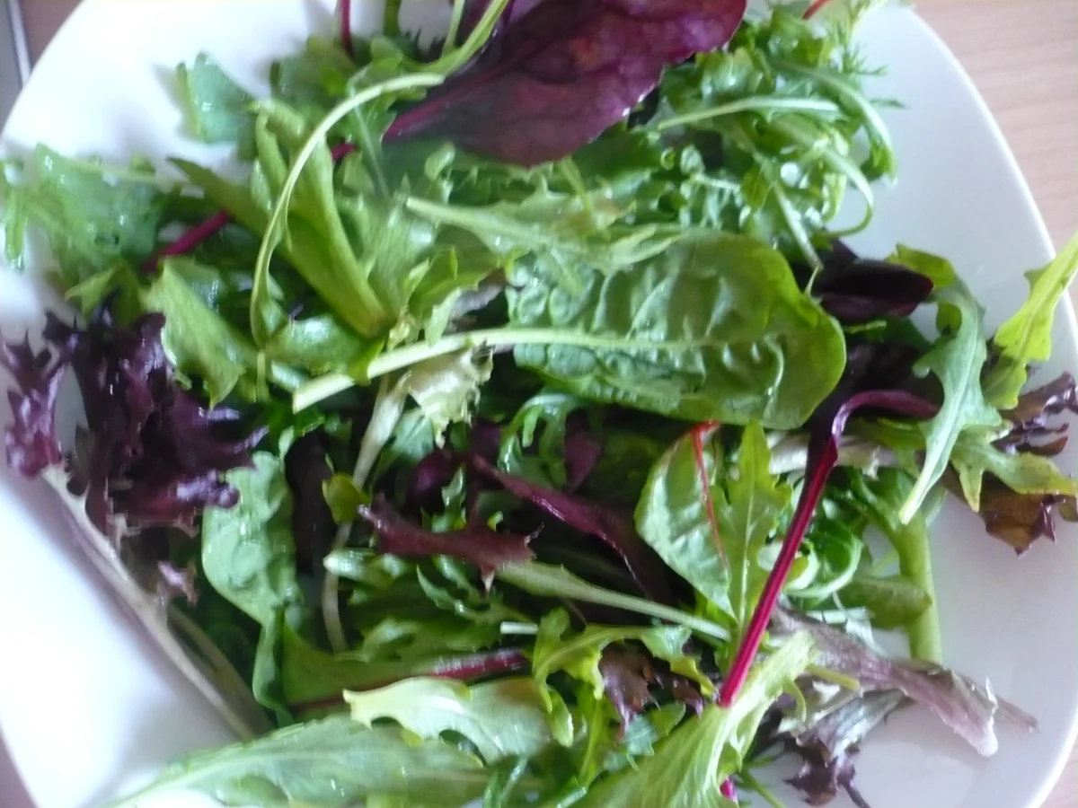 Kichererbsen - Salat - Rezept - Bild Nr. 14273