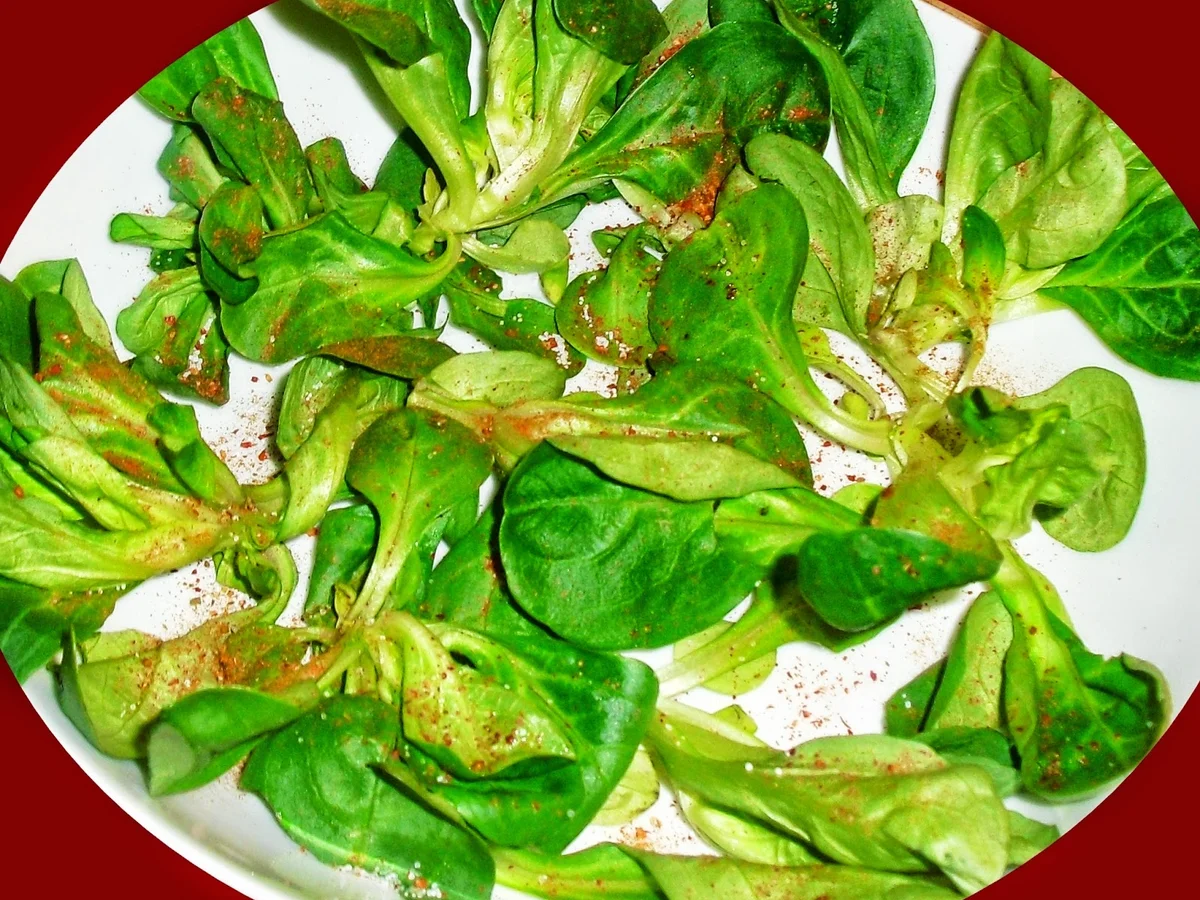 Pikanter Wurstsalat begegnet Feldsalat - Rezept - Bild Nr. 4