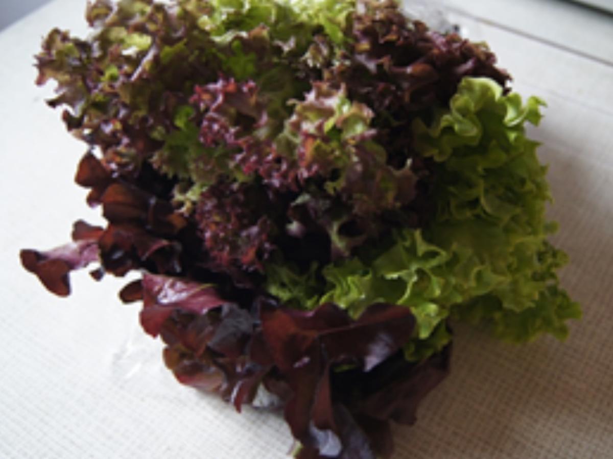 Gemischter Salat mit Wachteleiern - Rezept - Bild Nr. 14273