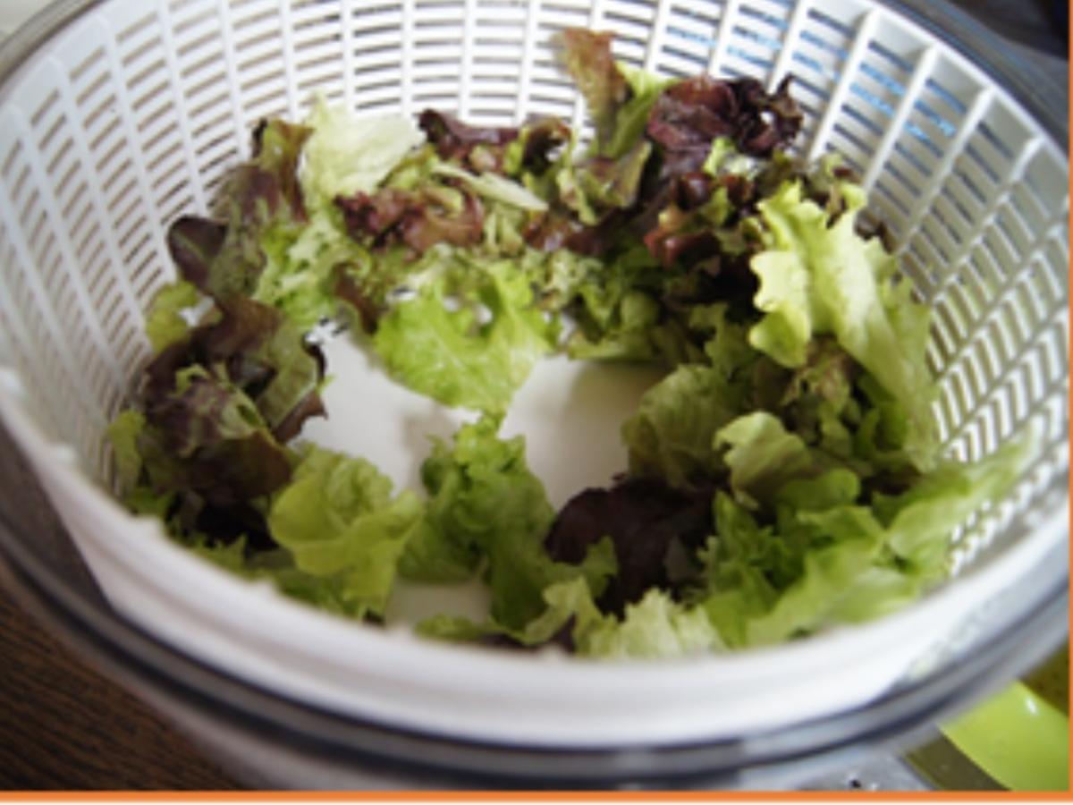 Gemischter Salat mit Wachteleiern - Rezept - Bild Nr. 14274