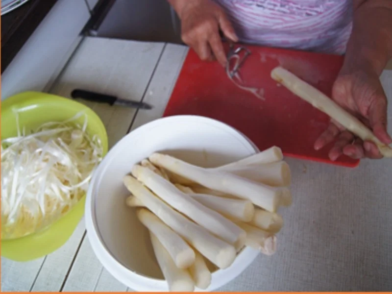 Rezept: Falsche Kalbsschnitzel mit Spargel und pikanter Sauce Bild Nr. 10 Falsche Kalbsschnitzel mit Spargel und pikanter Sauce - Rezept - Bild Nr. 10