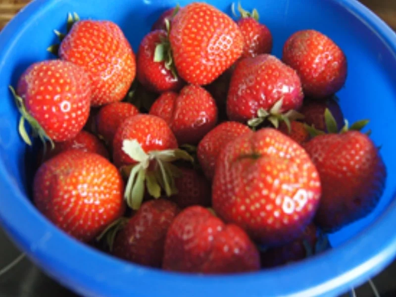 Erdbeershake mit Milch und griechischen Joghurt - Rezept - Bild Nr. 3