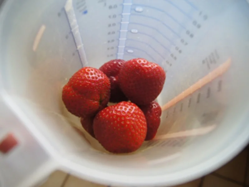 Erdbeershake mit Milch und griechischen Joghurt - Rezept - Bild Nr. 5