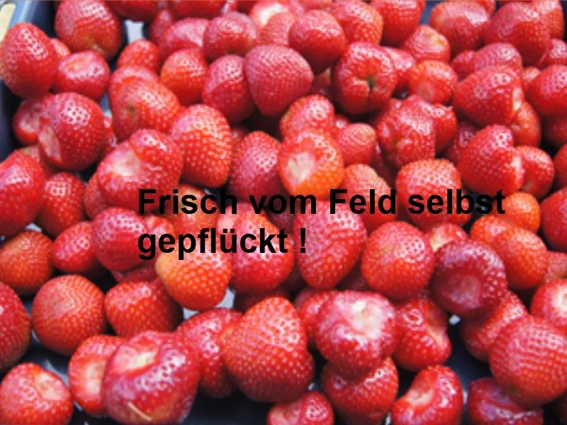 Gebackene Wan-Tan mit Erdbeerfüllung - Rezept - Bild Nr. 3