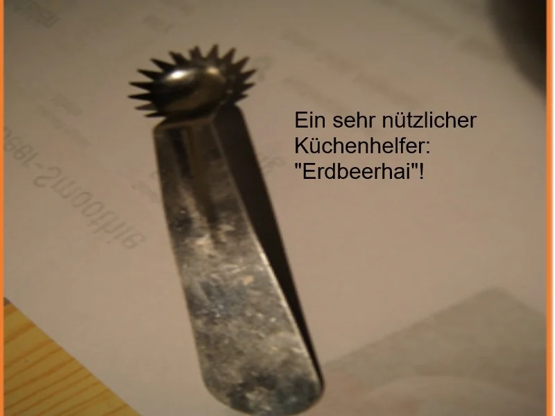 Rezept: Erdbeer-Sahne-Likör Bild Nr. 14295 Erdbeer-Sahne-Likör - Rezept - Bild Nr. 14295