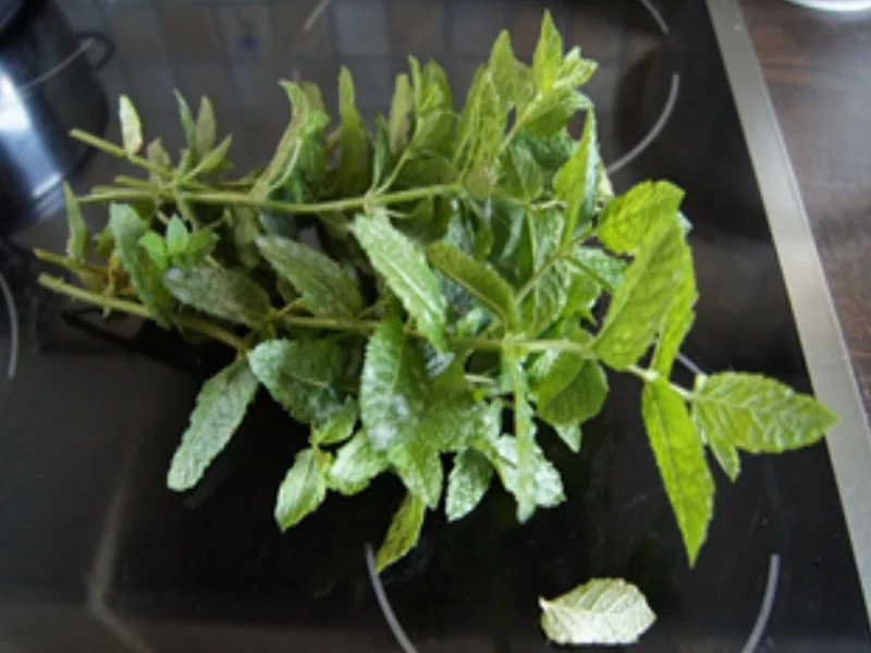 Rezept: Erdbeer-Limonade Bild Nr. 14291 Erdbeer-Limonade - Rezept - Bild Nr. 14291