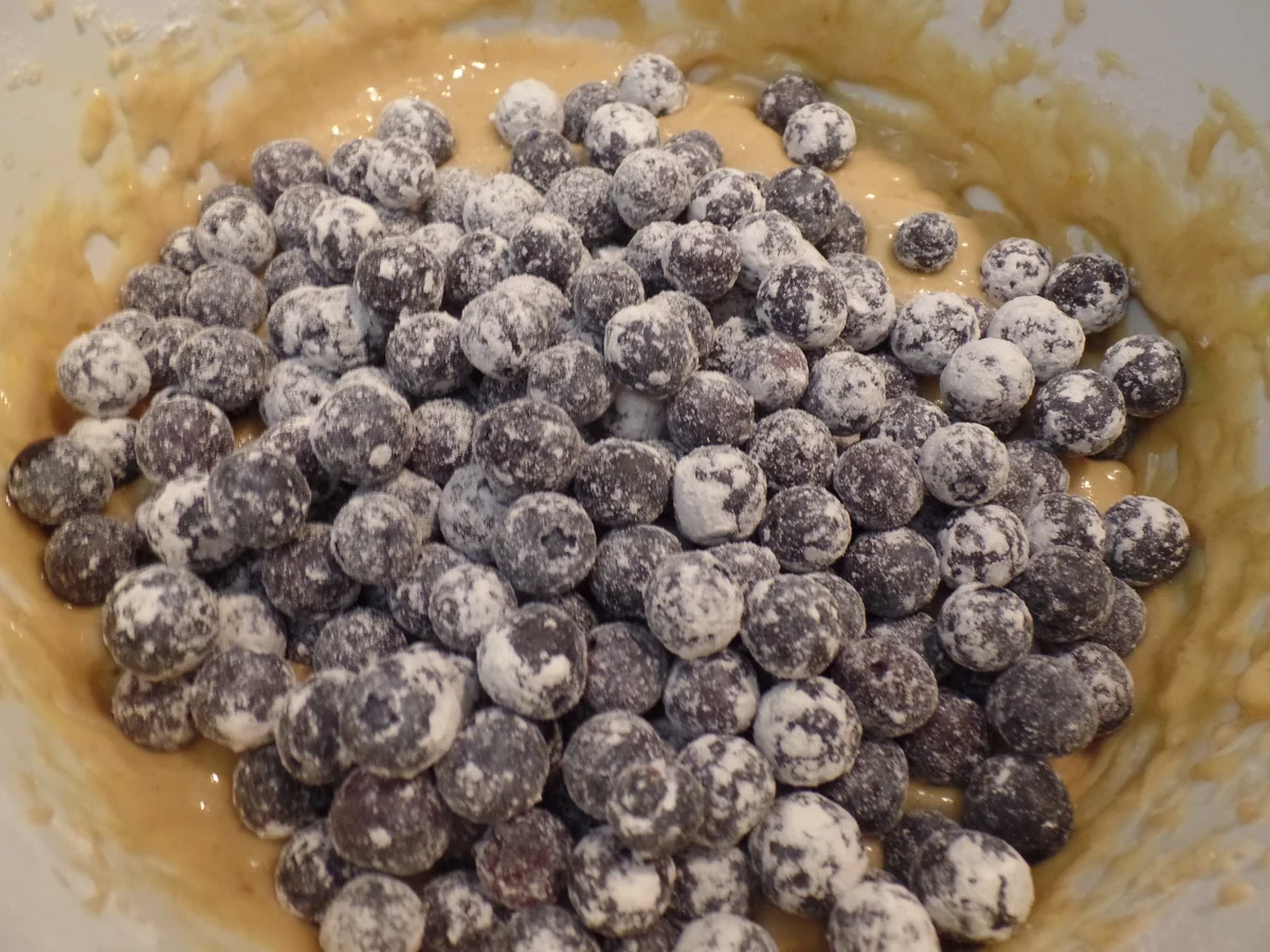 Blaubeer-Muffins - Rezept - Bild Nr. 14313