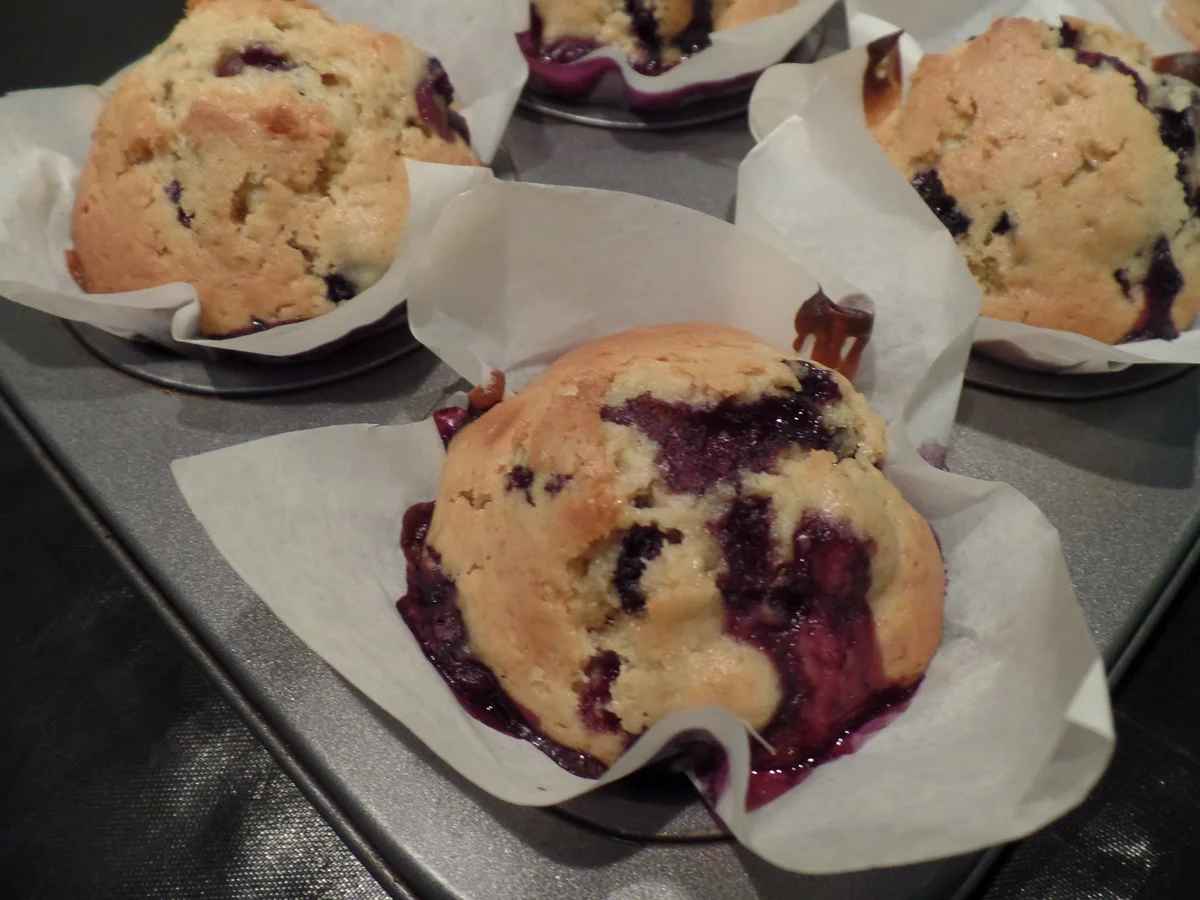 Blaubeer-Muffins - Rezept - Bild Nr. 14315
