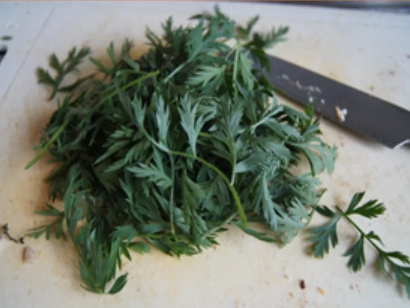 Hähnchen-Möhren-Suppe zum Abnehmen - Rezept - Bild Nr. 7