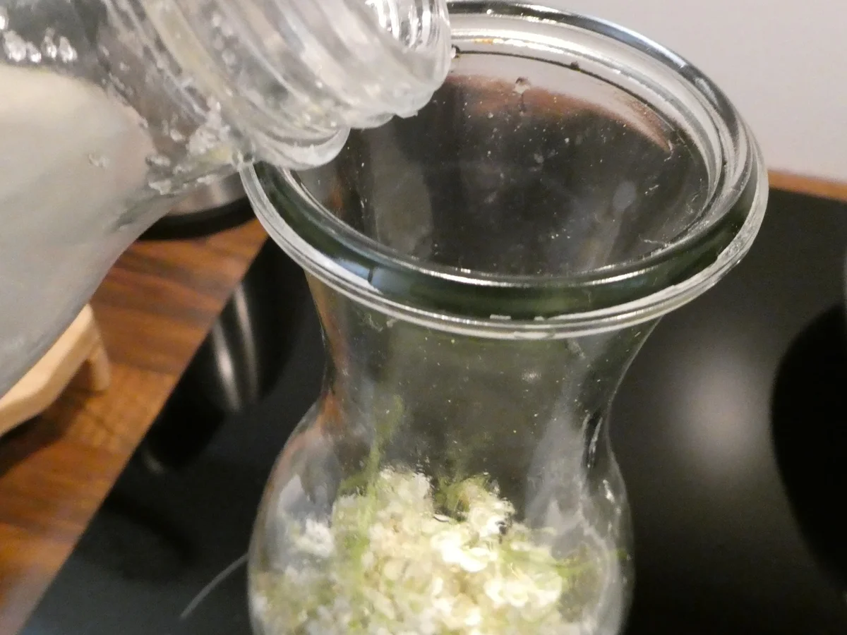 Holunderblüten-Likör - Rezept - Bild Nr. 14321