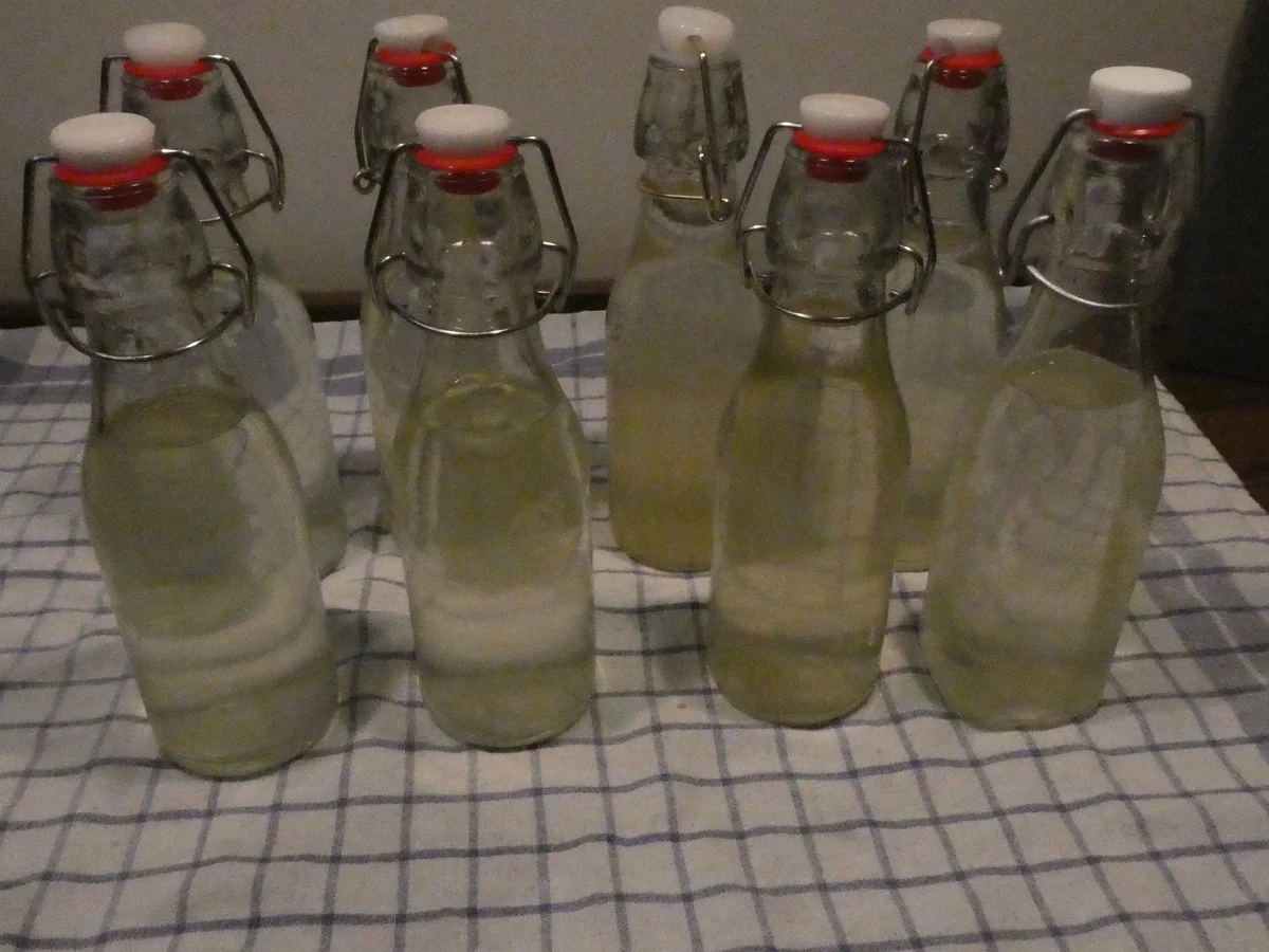 Holunderblüten-Likör - Rezept - Bild Nr. 14328