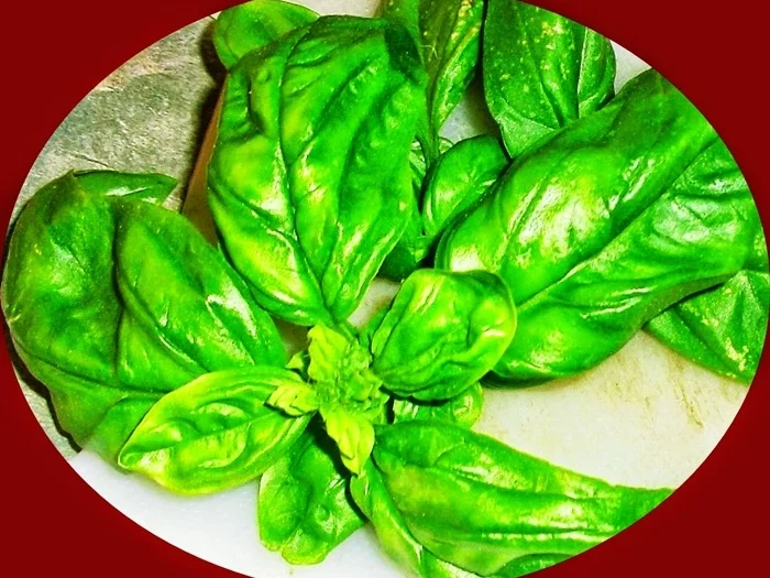 Mein kleines himmlisches Vorspeisenbuffet - zur kochbar Challenge Juli 2021 - Rezept - Bild Nr. 14318