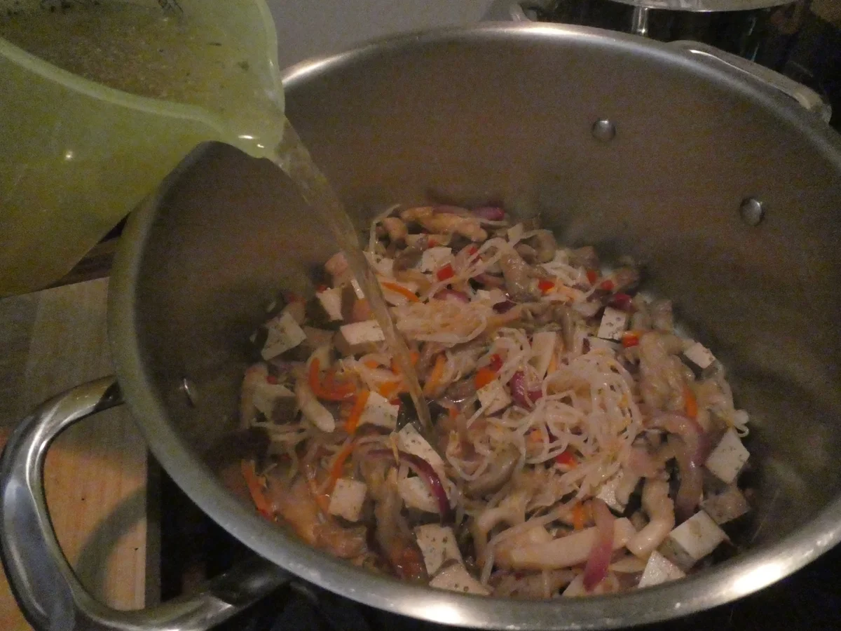 Asia-Nudelsuppe mit Tofu - Rezept - Bild Nr. 14322