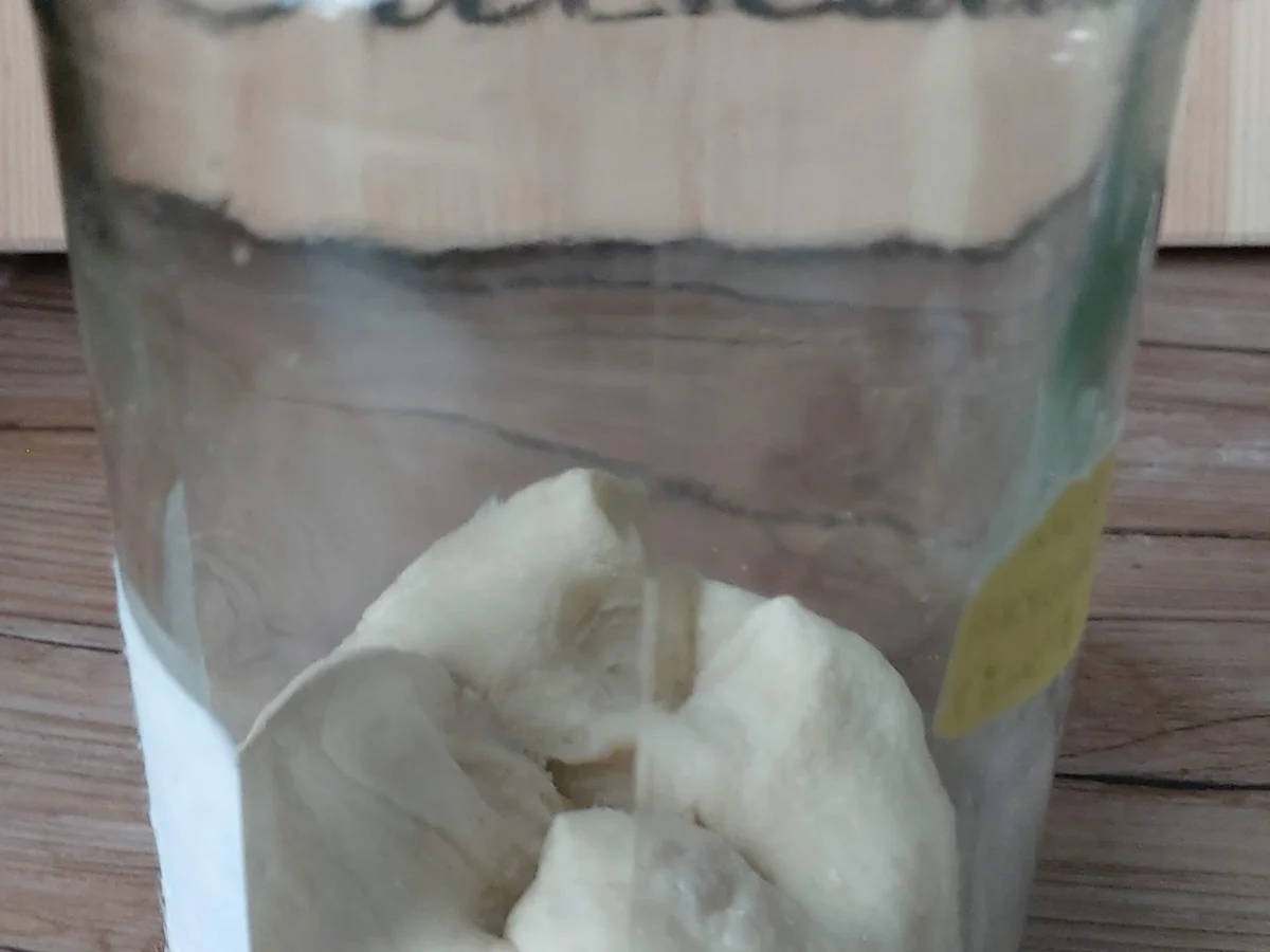 Rezept: Luigi - Mein Untermieter Bild Nr. 14334 Luigi - Mein Untermieter - Rezept - Bild Nr. 14334